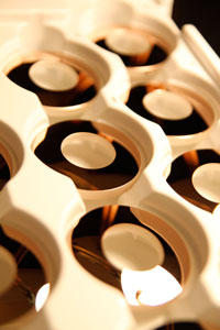 Flexible fiber bundle